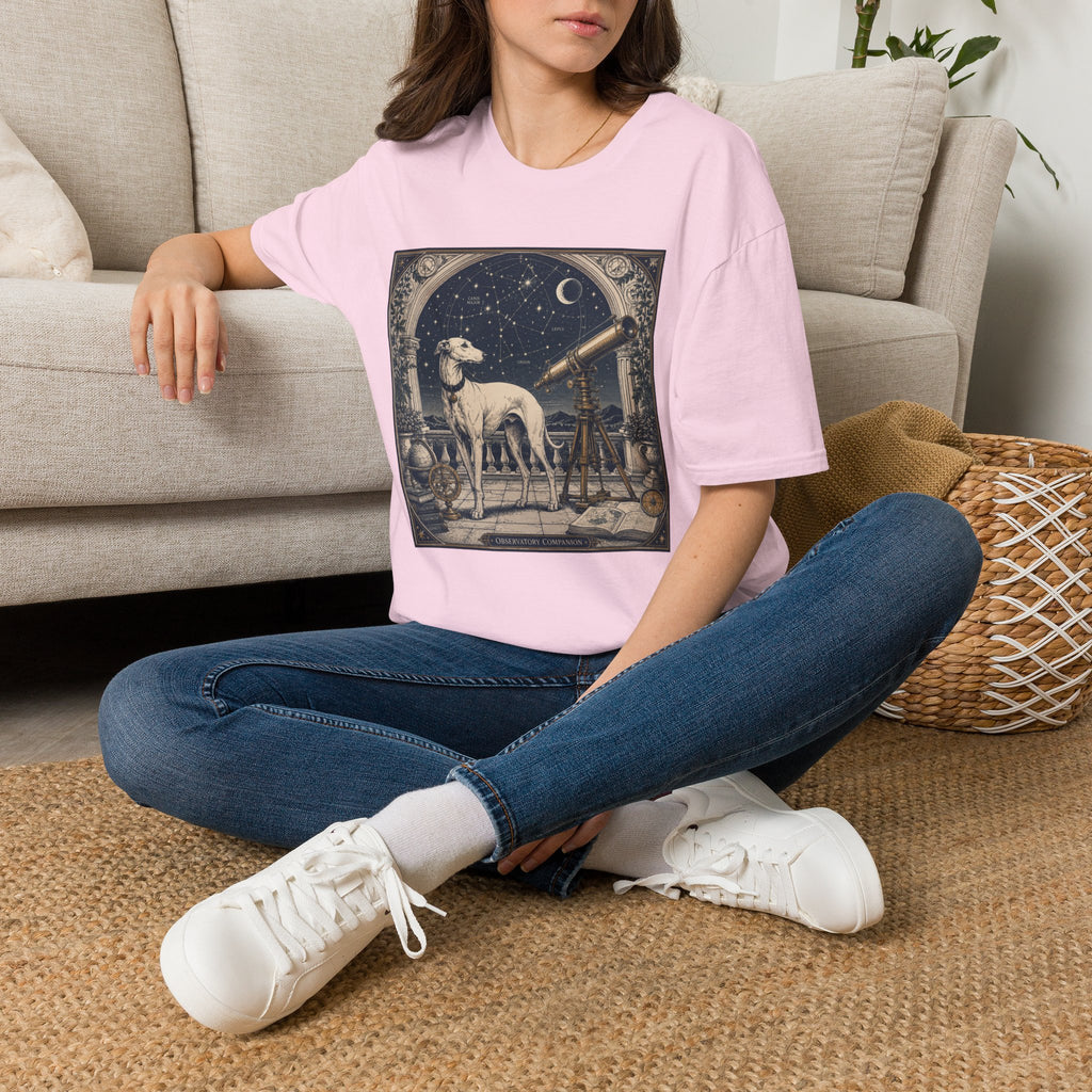 Antique Observatory T-Shirt