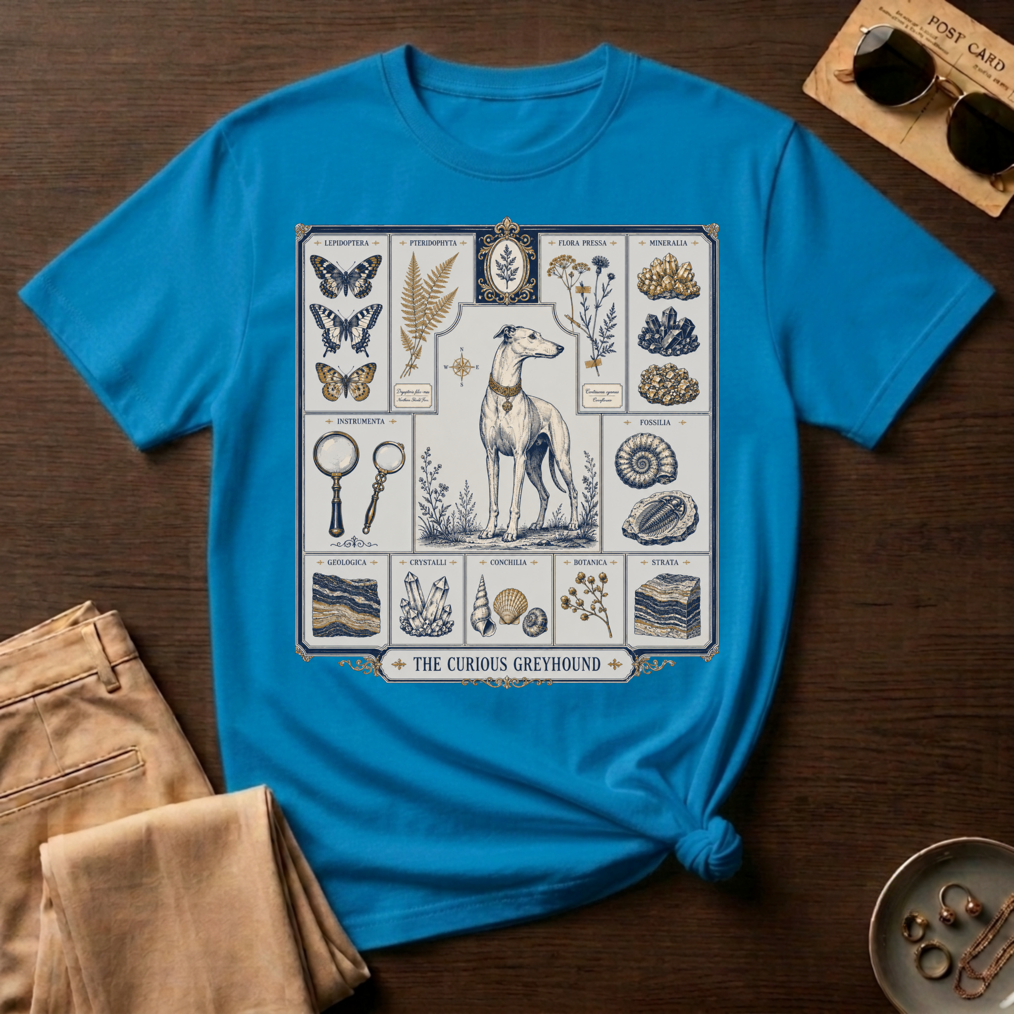 The Curious Grehound T-Shirt